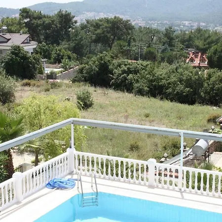 Shiraz Fethiye